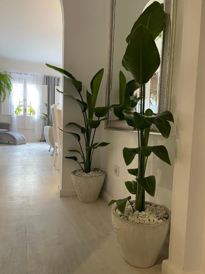 Apartment Away From *